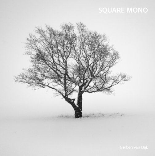 View Square Mono Small by Gerben van Dijk