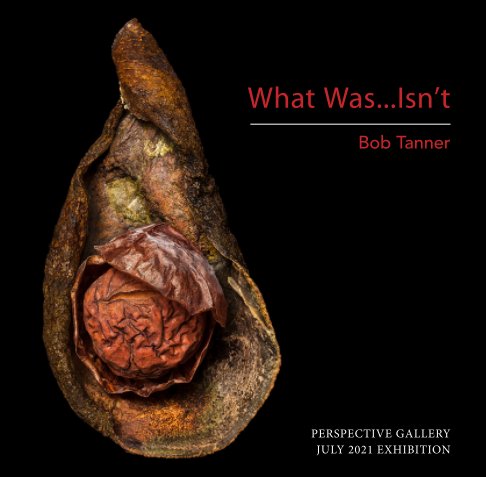 View Perspective Gallery July 2021 Exhibition Catalog by Bob Tanner