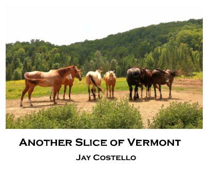 Another Slice of Vermont book cover