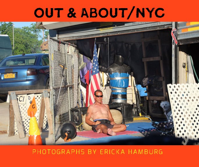 Visualizza Out and About / NYC di Ericka Hamburg