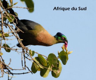 Afrique du Sud book cover