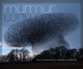 Murmur book cover