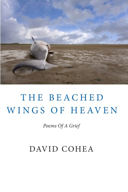 View The Beached Wings of Heaven by David Cohea