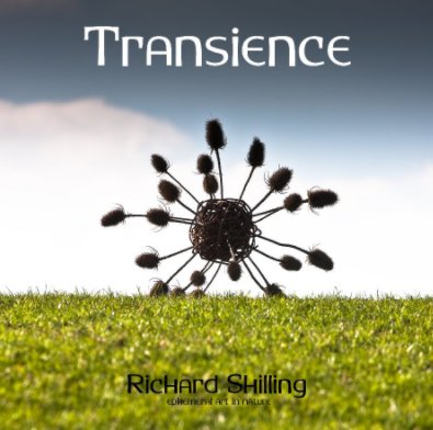 Transience (Special Edition) book cover