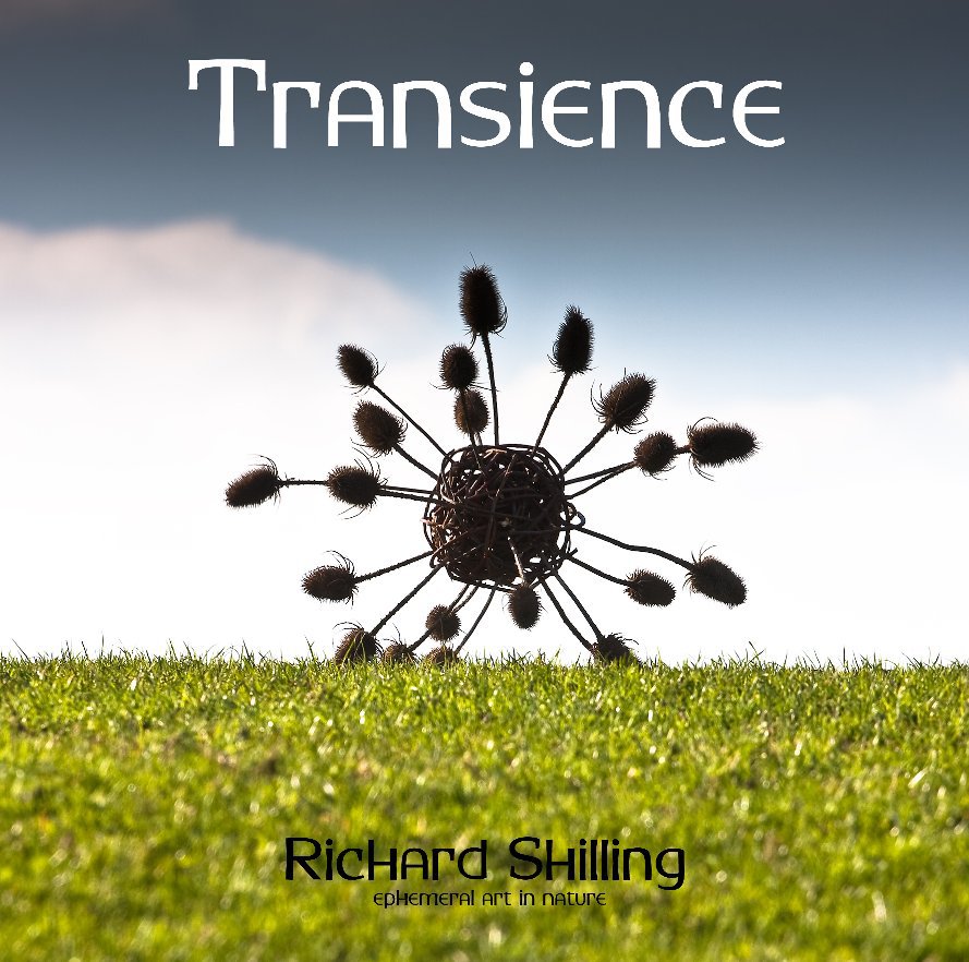 View Transience (Special Edition) by Richard Shilling