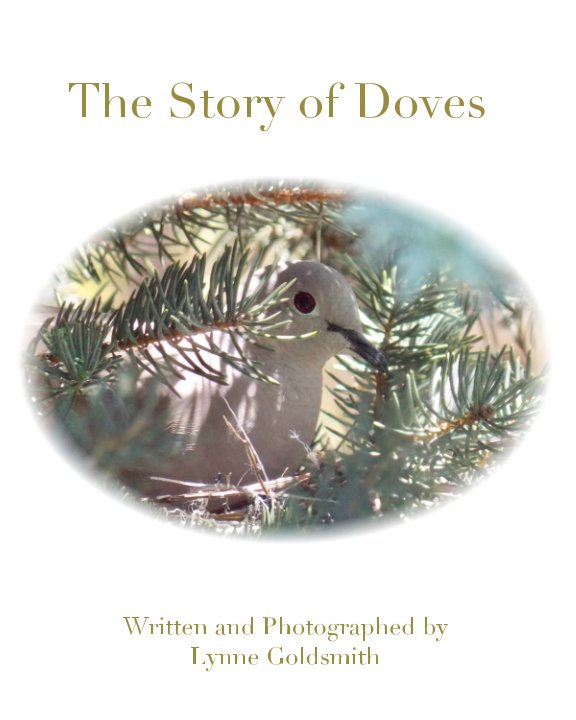 Bekijk The Story of Doves op Lynne Goldsmith