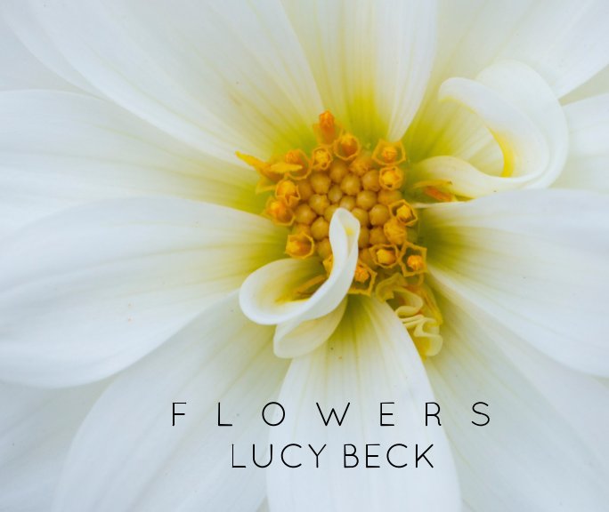 View Flowers by Lucy Beck