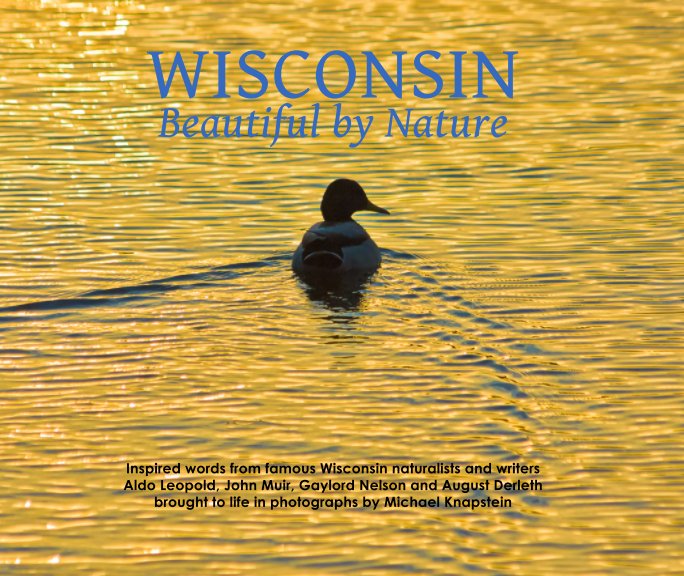 Ver Wisconsin: Beautiful by Nature (Softcover Second Edition) por Michael Knapstein