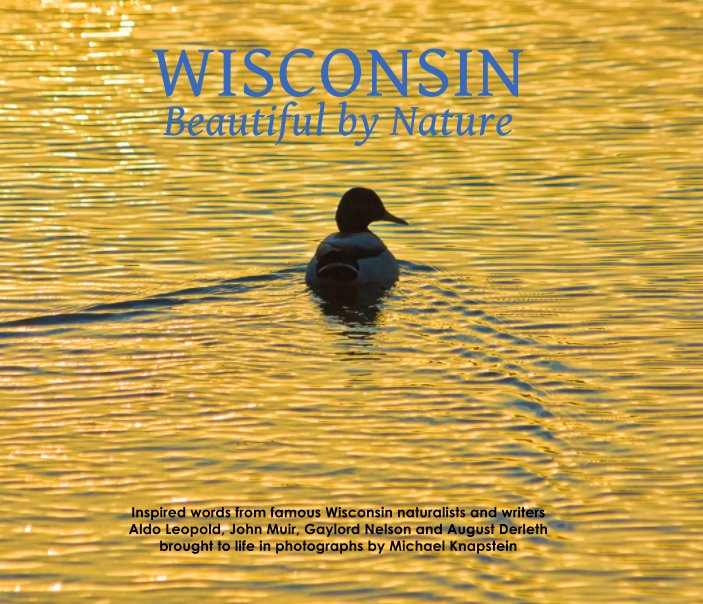 Bekijk Wisconsin: Beautiful by Nature (Hardcover Second Edition) op Michael Knapstein