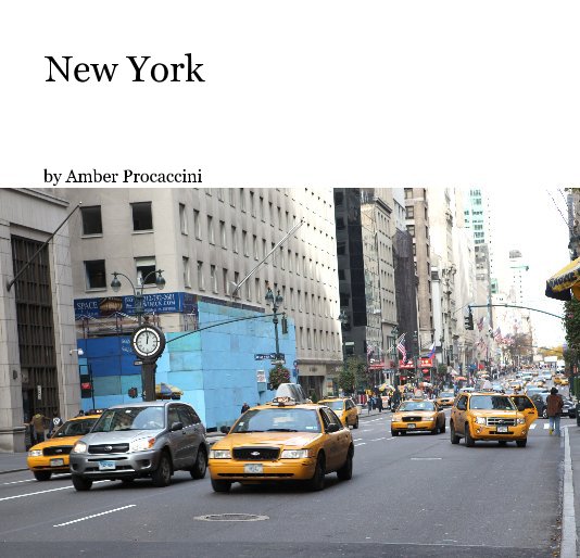 Visualizza New York di amberdp