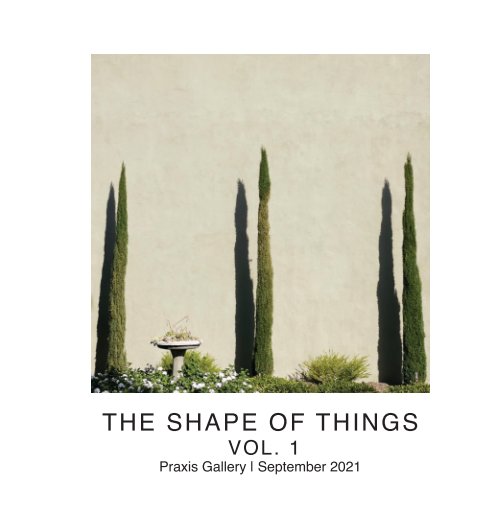 Ver The Shape of Things Vol. 1 por Praxis Gallery