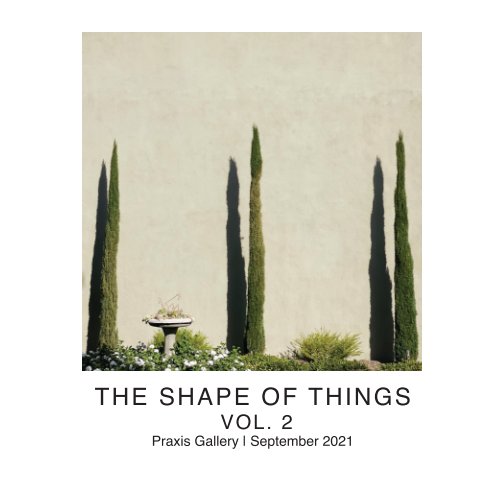 The Shape of Things Vol. 2 nach Praxis Gallery anzeigen