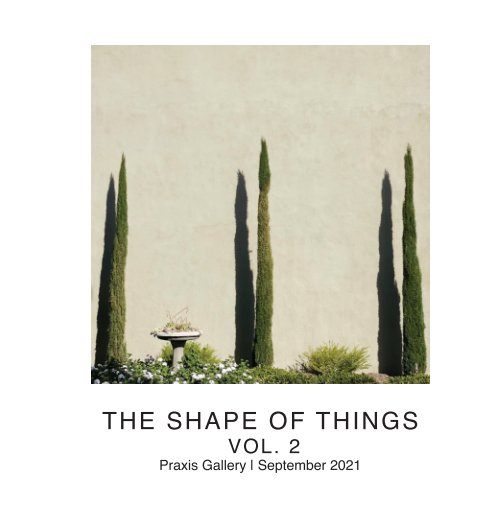 View The Shape of Things Vol. 2 by Praxis Gallery