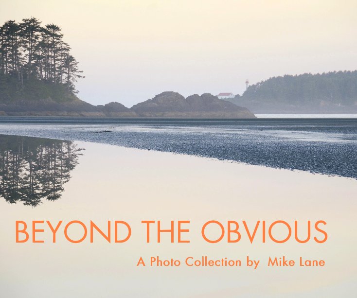 View Beyond the Obvious by Mike Lane