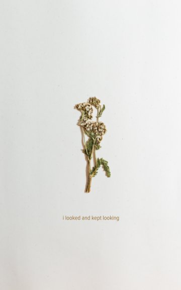 Visualizza i looked and kept looking di jamie griffin