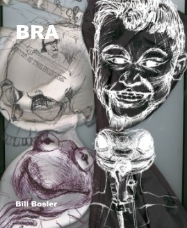 BRA book cover