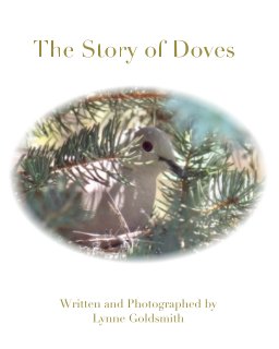 The Story of Doves book cover