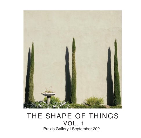 The Shape of Things Vol. 1 nach Praxis Gallery anzeigen