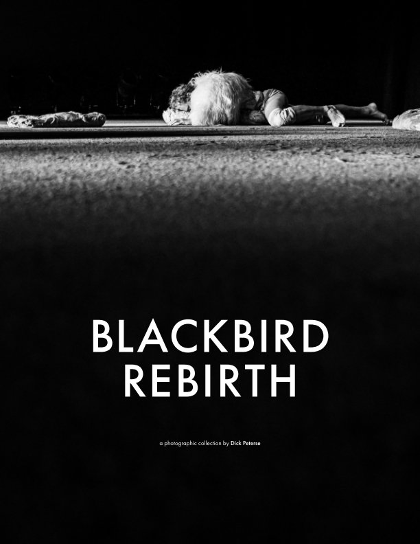 View Blackbird - Rebirth by Dick Peterse