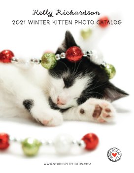2021 Kitten Christmas Photo Collection book cover