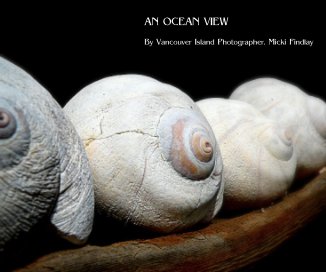 AN OCEAN VIEW book cover