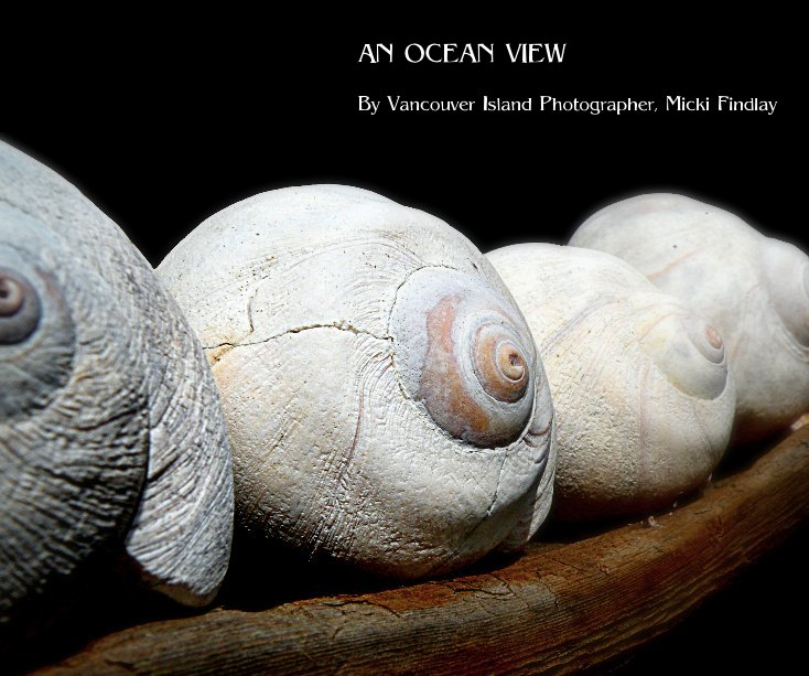 View AN OCEAN VIEW by Micki Findlay