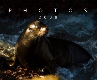 Photos 2009 book cover