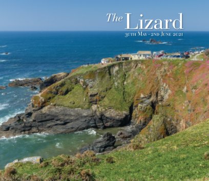 The Lizard 2021 book cover