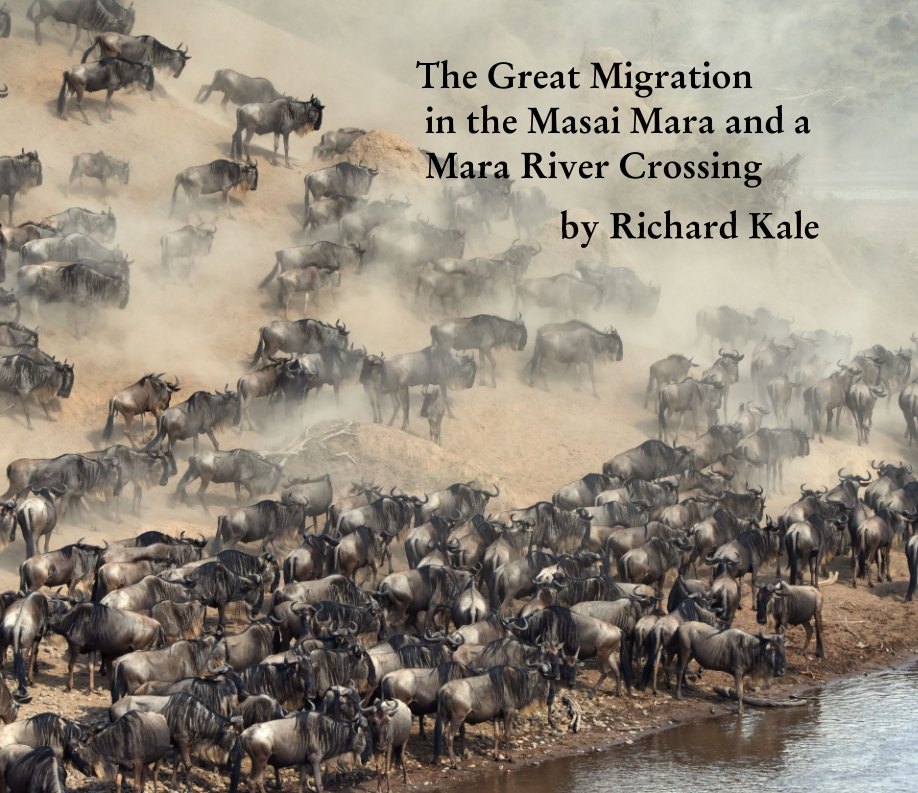 Ver The Great Migration in the Masai Mara and a Mara River Crossing por Richard Kale