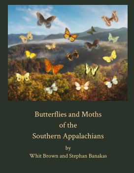 Butterflies and Moths of the Southern Appalachians book cover