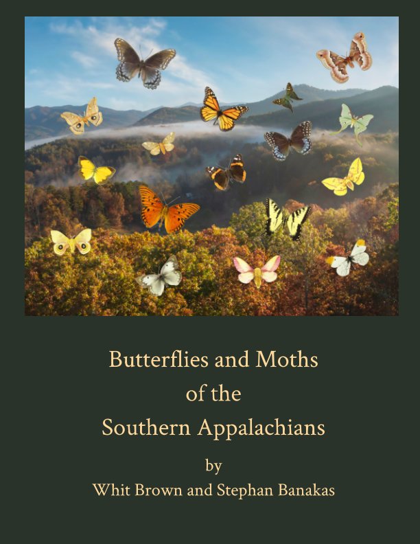 View Butterflies and Moths of the Southern Appalachians by Whit Brown, Stephan Banakas