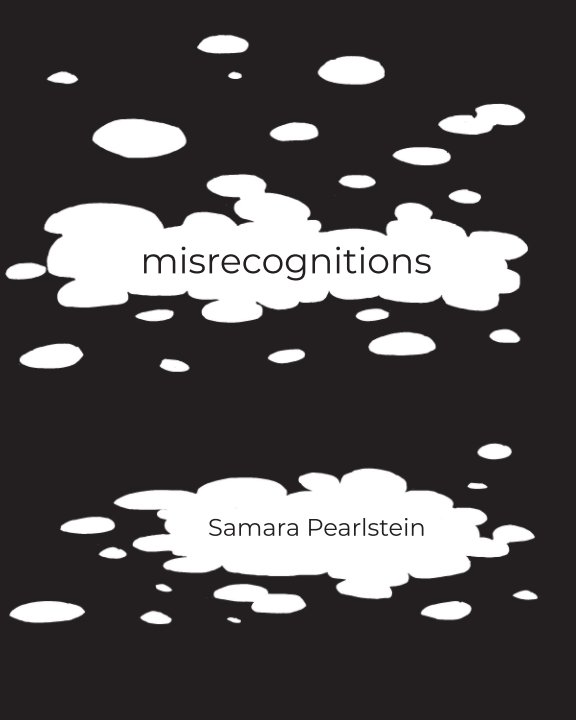View misrecognitions by Samara Pearlstein