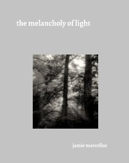 the melancholy of light book cover