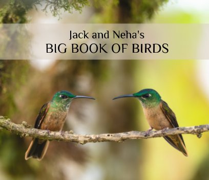 Jack and Neha's Big Book of Birds book cover