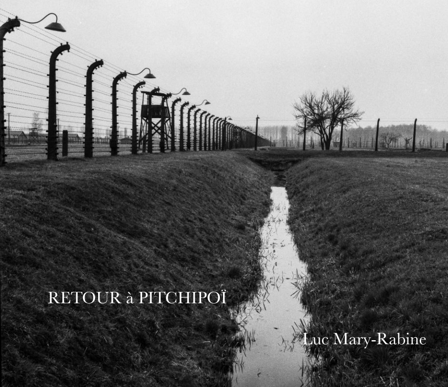 View Retour à Pitchpoï by Luc Mary-Rabine