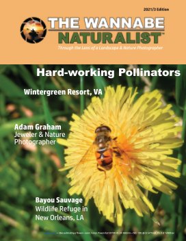 The Wannabe Naturalist™ Magazine Edition 2021-3 book cover