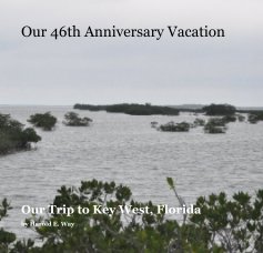 Our 46th Anniversary Vacation book cover
