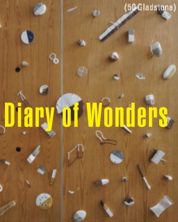The Diary of Wonders book cover