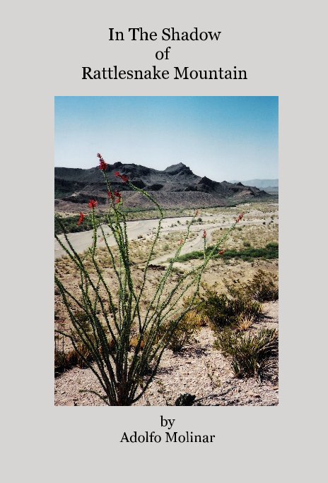 Ver In The Shadow of Rattlesnake Mountain por Adolfo Molinar