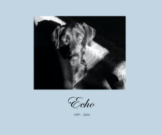 Echo 1997 - 2010 book cover