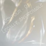 Contour 0- Legally, Answerable book cover