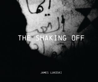 The Shaking Off DJ book cover