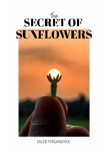 The Secret of Sunflowers book cover