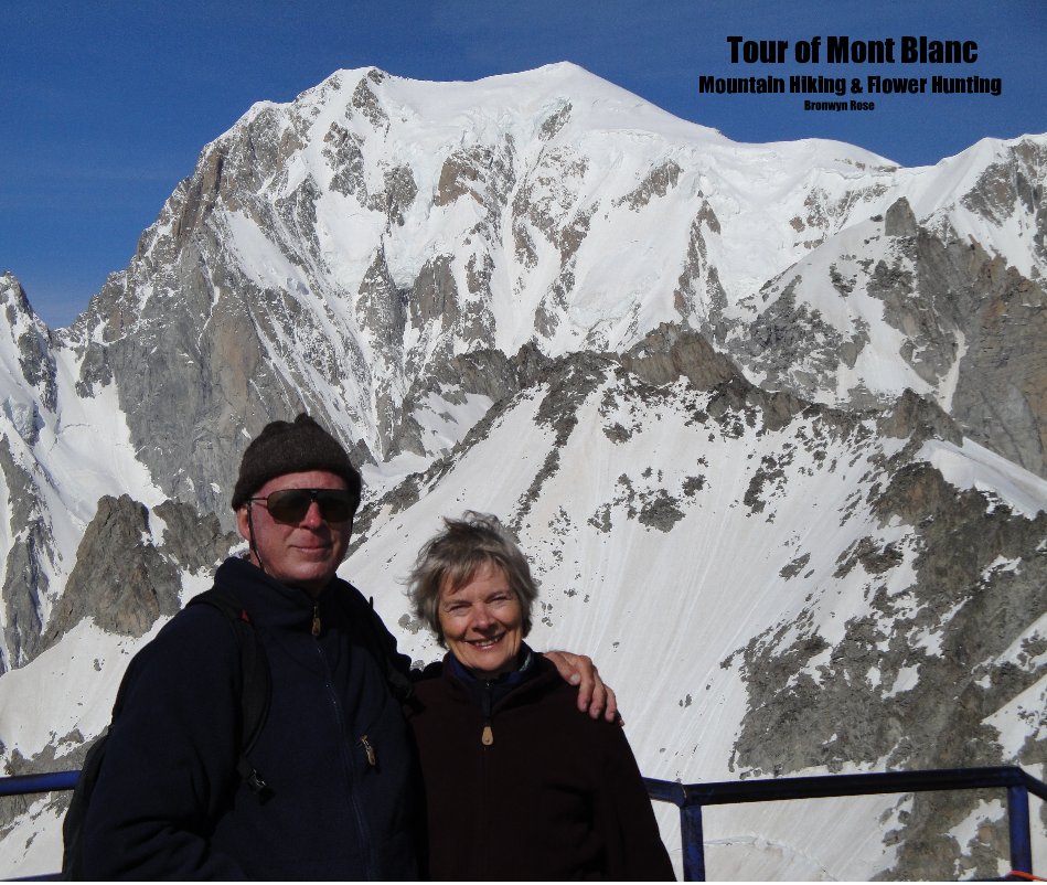 View Tour of Mont Blanc by Bronwyn Rose