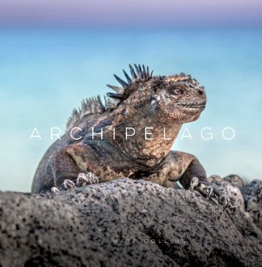 Archipelago: Images of the Galápagos Islands book cover
