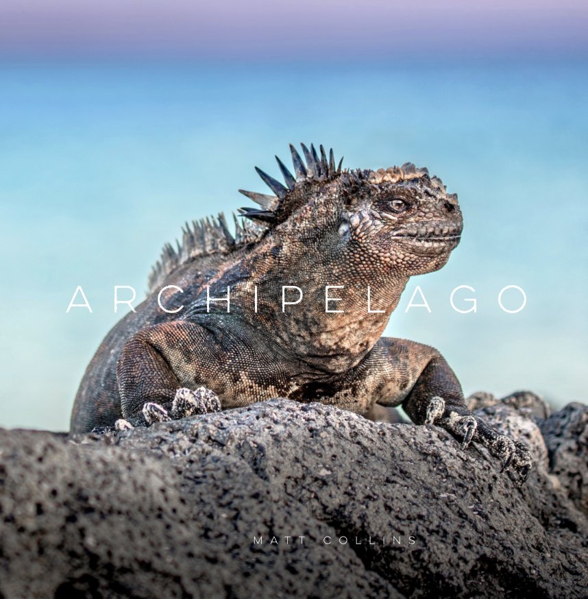 View Archipelago: Images of the Galápagos Islands by Matt Collins Photography