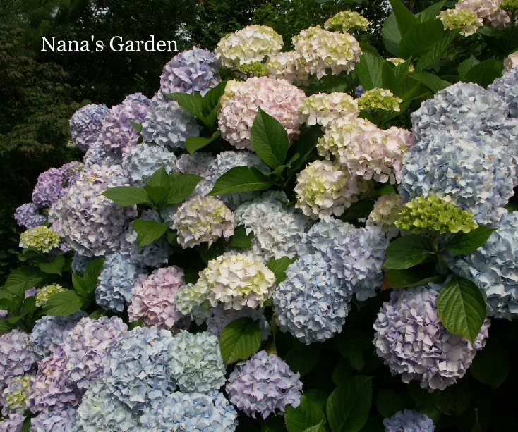 Ver Nana's Garden por Oliver Aylward