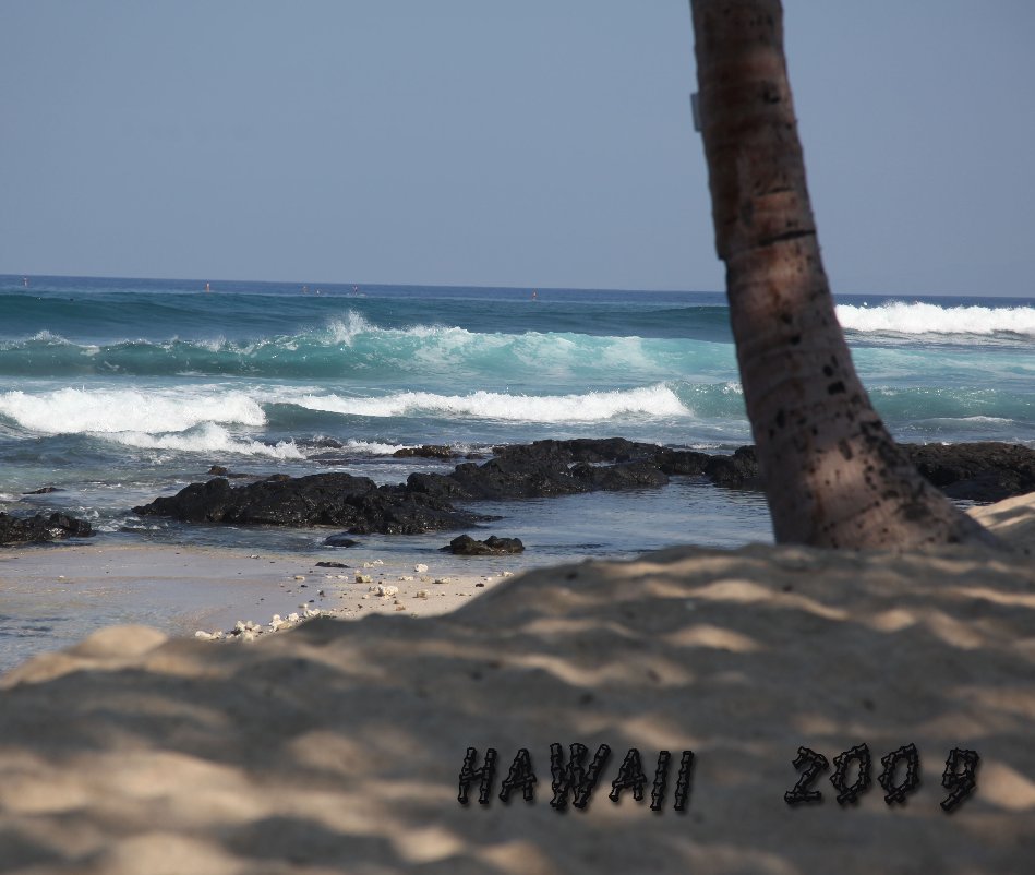 View Hawaii 2009 by LisaShapiro