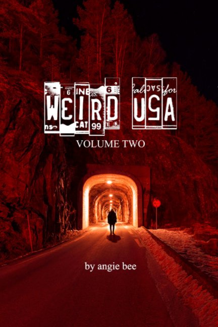 View Weird, USA Vol. 2 by Angie Bee