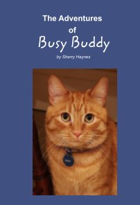 The Adventures of Busy Buddy book cover
